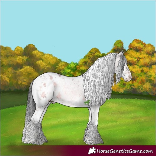 Horse Color:White Spotted Brown Ice Onyx Mushroom Sabino 
