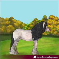 Horse Color:Brown Ice Roan Onyx Mushroom Sabino Brindle
