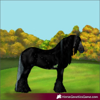 Horse Color:ERROR: UNKNOWN ANOMALY