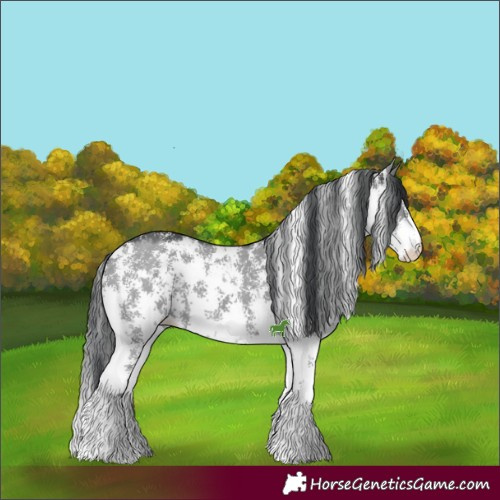 Horse Color:Grullo Chinchilla Sabino 