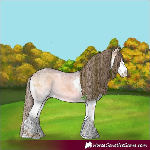 Horse Color:Painted White Spotted Buckskin Ice Onyx Splash Appaloosa 