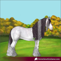 Horse Color:Bay Roan Onyx Splash 
