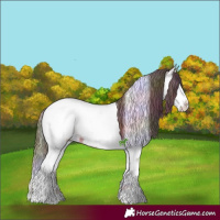 Horse Color:Nacre White Spotted Bay Ice Onyx Splash Tobiano Near Fewspot Rabicano 