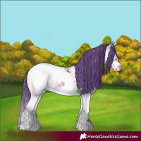 Horse Color:Painted Brown Ice Onyx Splash Snowcap 
