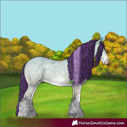 Horse Color:Painted White Spotted Brown Chinchilla Dun 