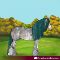 Horse Color:Painted White Spotted Brown