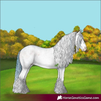Horse Color:Watercolor Blue Onyx Ice Sabino Splash Snowflake Varnish 
