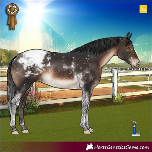 Horse Color:Brown Tobiano Snowcap Rabicano 