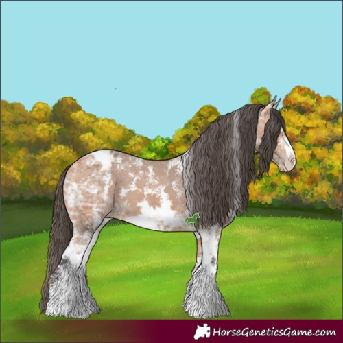 Horse Color:Bay Ice Sabino Appaloosa
