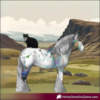 Horse Color:Gray Plaid  Silver Bay Dun Splash Tobiano Appaloosa 