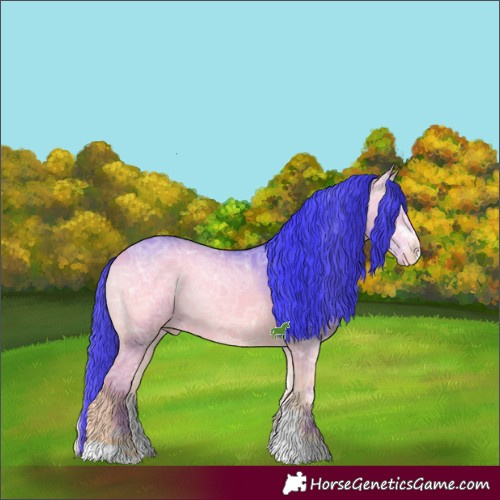 Horse Color:Watercolor Bay Ice Onyx Sabino Appaloosa 