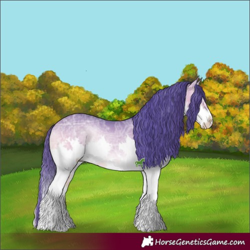 Horse Color:Watercolor Bay Ice Onyx Sabino Splash 