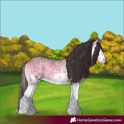 Horse Color:Bay Ice Onyx Sabino Splash 