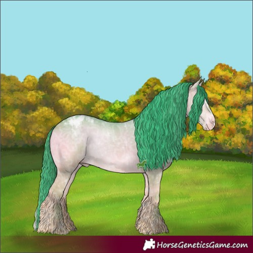 Horse Color:Watercolor White Spotted Bay Ice Onyx Appaloosa 