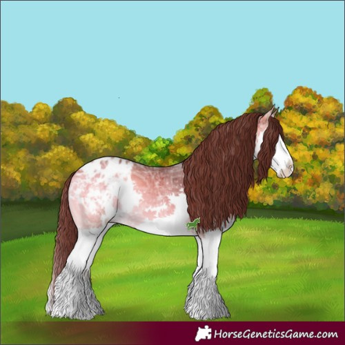 Horse Color:Bay Ice Onyx Sabino Splash Appaloosa 