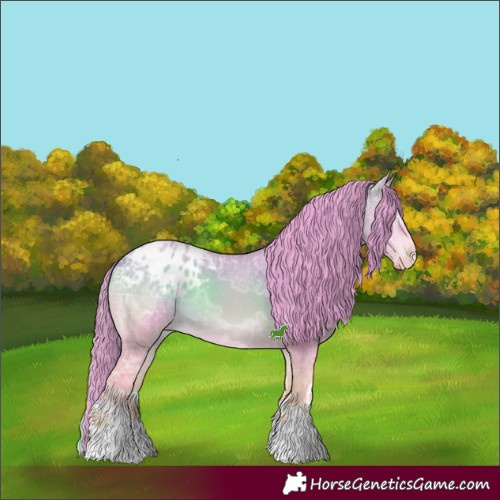 Horse Color:Watercolor White Spotted Bay Ice Onyx Appaloosa 