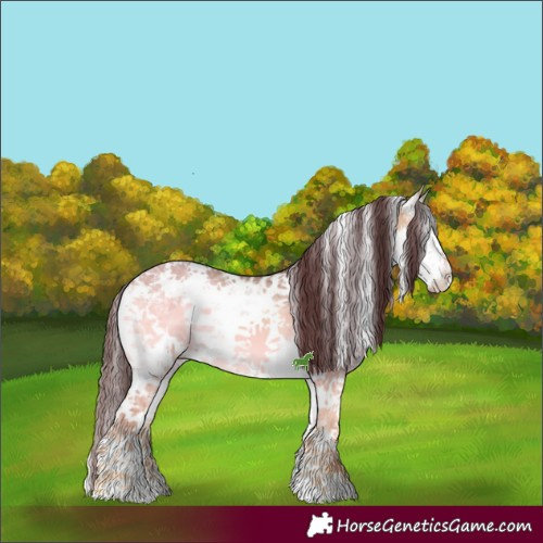 Horse Color:White Spotted Chocolate Bay Ice Onyx Sabino 