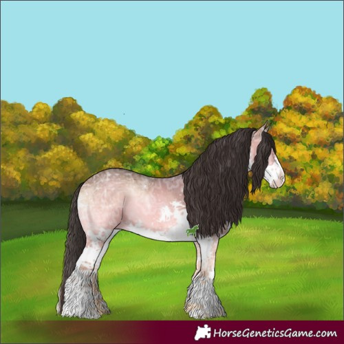 Horse Color:White Spotted Bay Ice Onyx Splash 