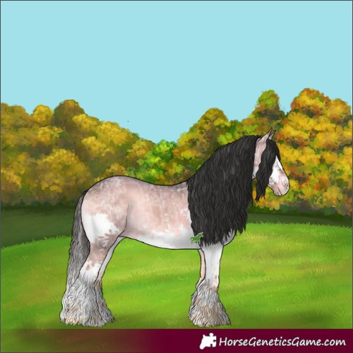 Horse Color:White Spotted Brown Ice Onyx Splash 