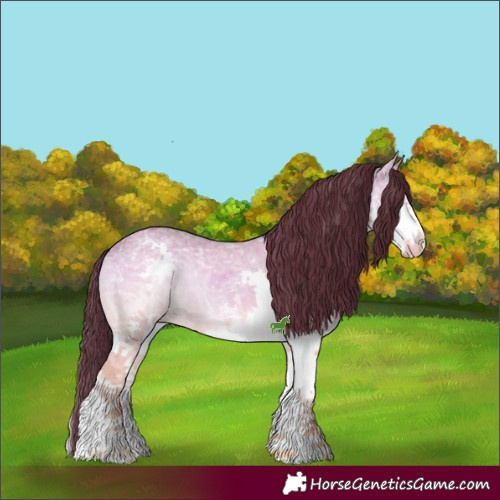Horse Color:White Spotted Chocolate Brown Ice Onyx Splash 