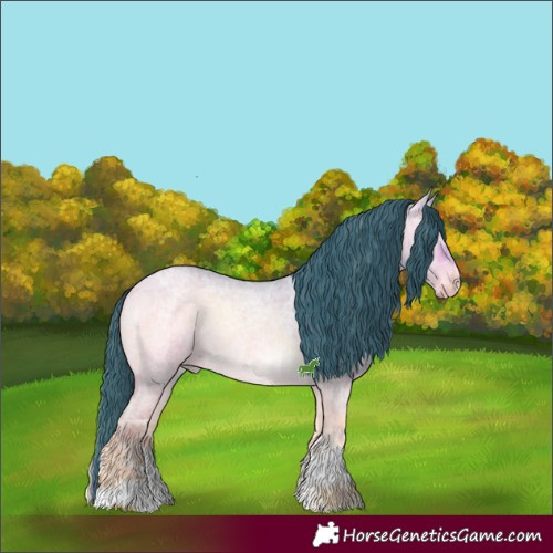 Horse Color:Watercolor White Spotted Bay Ice Roan Onyx 