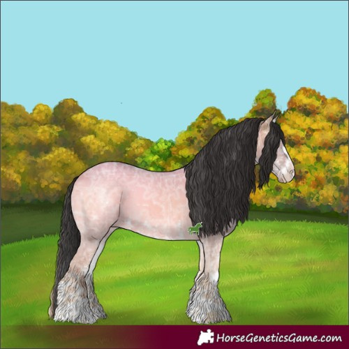 Horse Color:White Spotted Brown Ice Onyx Brindle 