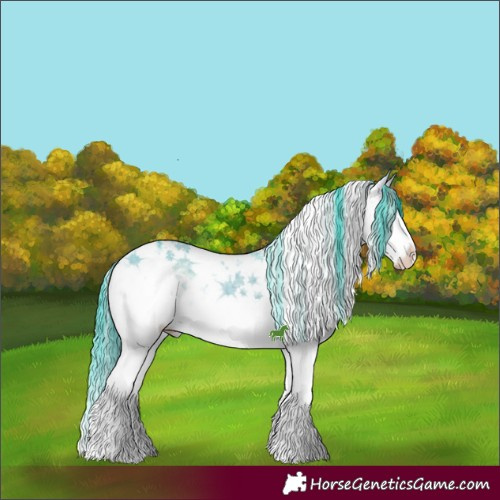 Horse Color:Watercolor White Spotted Brown Ice Onyx Sabino Splash 