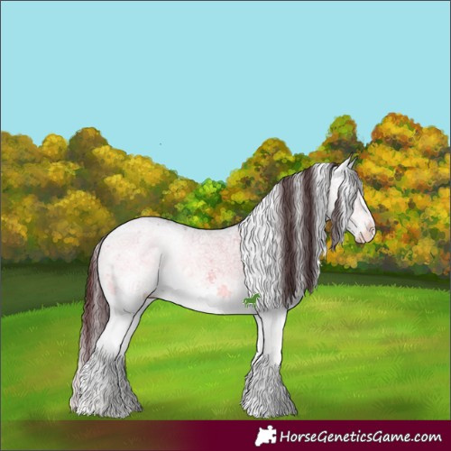 Horse Color:White Spotted Brown Ice Onyx Sabino Splash Appaloosa 