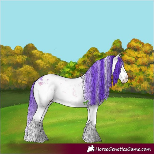 Horse Color:Watercolor White Spotted Brown Ice Onyx Sabino Splash Appaloosa Brindle 