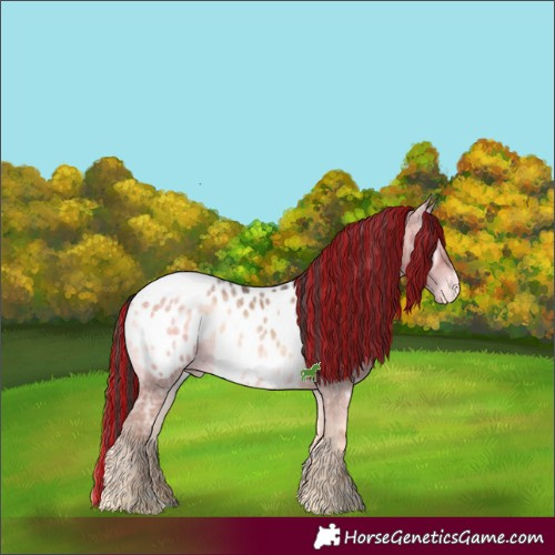 Horse Color:Painted Bay Ice Onyx Sabino Appaloosa 