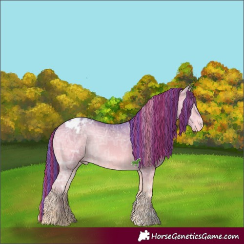 Horse Color:Painted Watercolor White Spotted Bay Ice Onyx Appaloosa 