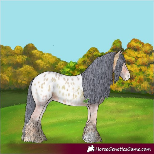 Horse Color:Watercolor Bay Ice Onyx Sabino Appaloosa 