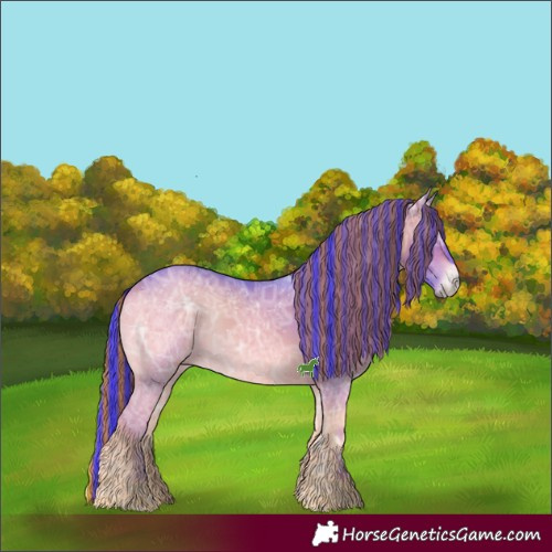 Horse Color:Painted Watercolor White Spotted Bay Ice Onyx