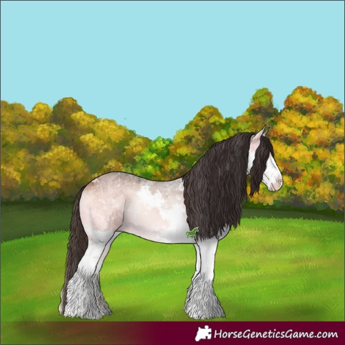 Horse Color:White Spotted Bay Ice Onyx Splash 