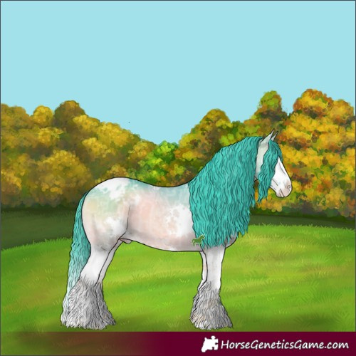 Horse Color:Watercolor White Spotted Bay Ice Onyx Splash Appaloosa 