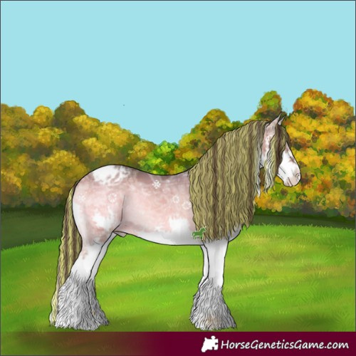 Horse Color:Painted Bay Ice Onyx Sabino Splash Appaloosa 