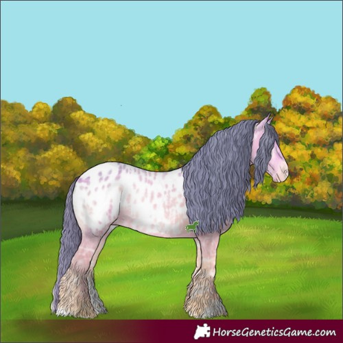 Horse Color:Watercolor Bay Ice Onyx Sabino Appaloosa 
