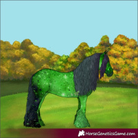 Horse Color:ERROR: UNKNOWN ANOMALY