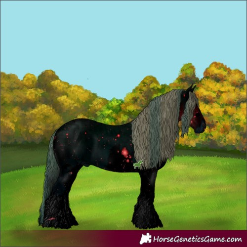 Horse Color:ERROR: UNKNOWN ANOMALY