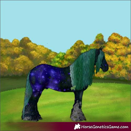 Horse Color:ERROR: UNKNOWN ANOMALY