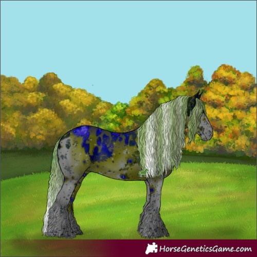 Horse Color:ERROR: UNKNOWN ANOMALY