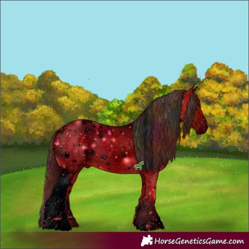 Horse Color:ERROR: UNKNOWN ANOMALY