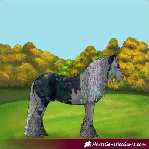 Horse Color:ERROR: UNKNOWN ANOMALY
