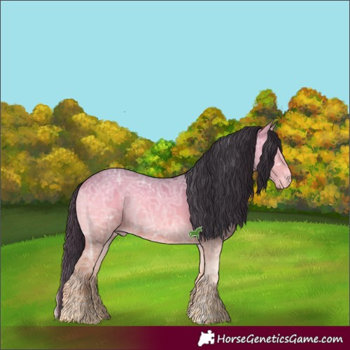 Horse Color:White Spotted Bay Ice Onyx 