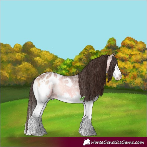 Horse Color:Bay Ice Onyx Sabino Splash Appaloosa 