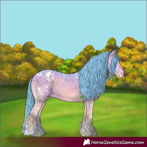Horse Color:Watercolor White Spotted Bay Ice Onyx Appaloosa 