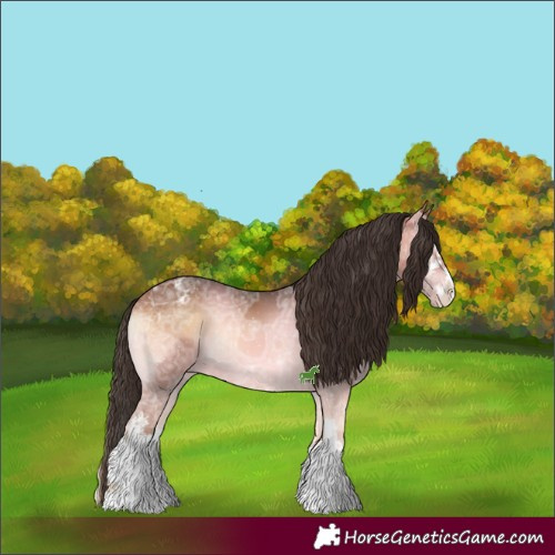 Horse Color:White Spotted Bay Ice Onyx Appaloosa 