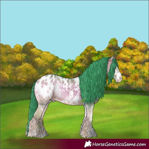 Horse Color:Watercolor Bay Ice Onyx Sabino Appaloosa 