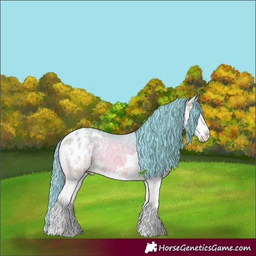 Horse Color:Watercolor White Spotted Bay Ice Onyx Splash Appaloosa 
