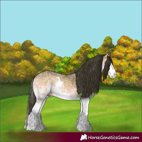 Horse Color:White Spotted Bay Ice Onyx Splash 